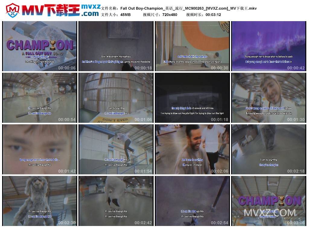 Fall Out Boy-Champion_英语_流行_MC900263